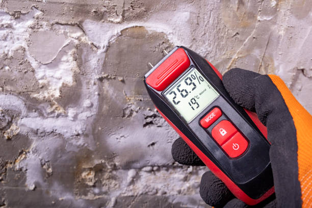 Best Water Damage Restoration  in Richnd, MO