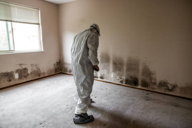 Best Crawl Space Mold Removal  in Richnd, MO