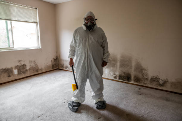Best Toxic Mold Removal  in Richnd, MO